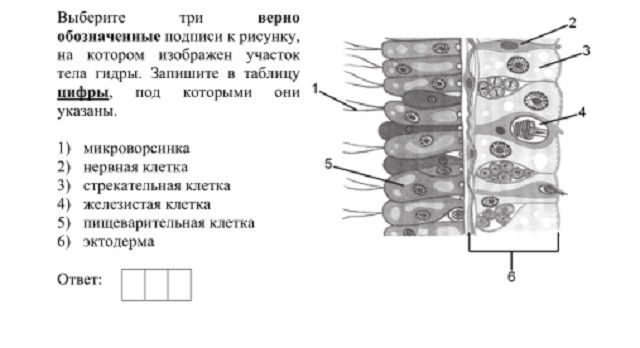 Кракен магазин kraken014 com